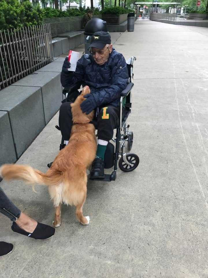 A client in a wheelchair greeting a golden retriever outdoors